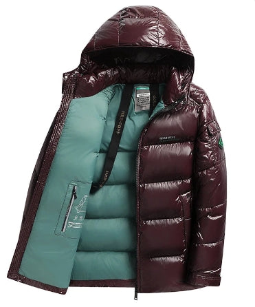 Sleek Warmth Hooded Winter Parka